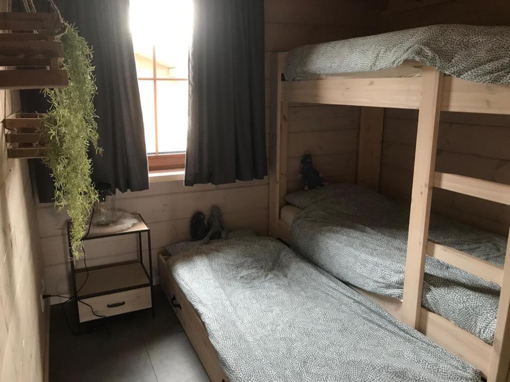 Chalet Momage Dichtbij Skiliften, Skiverhuur En Bikepark! Winterberg Buitenkant foto